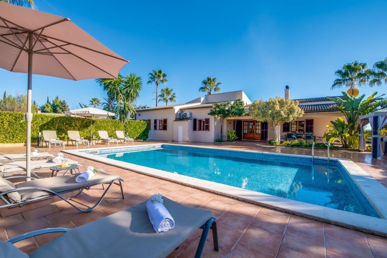 Ideal Property Mallorca - Es Pascolet Inca (Mallorca)