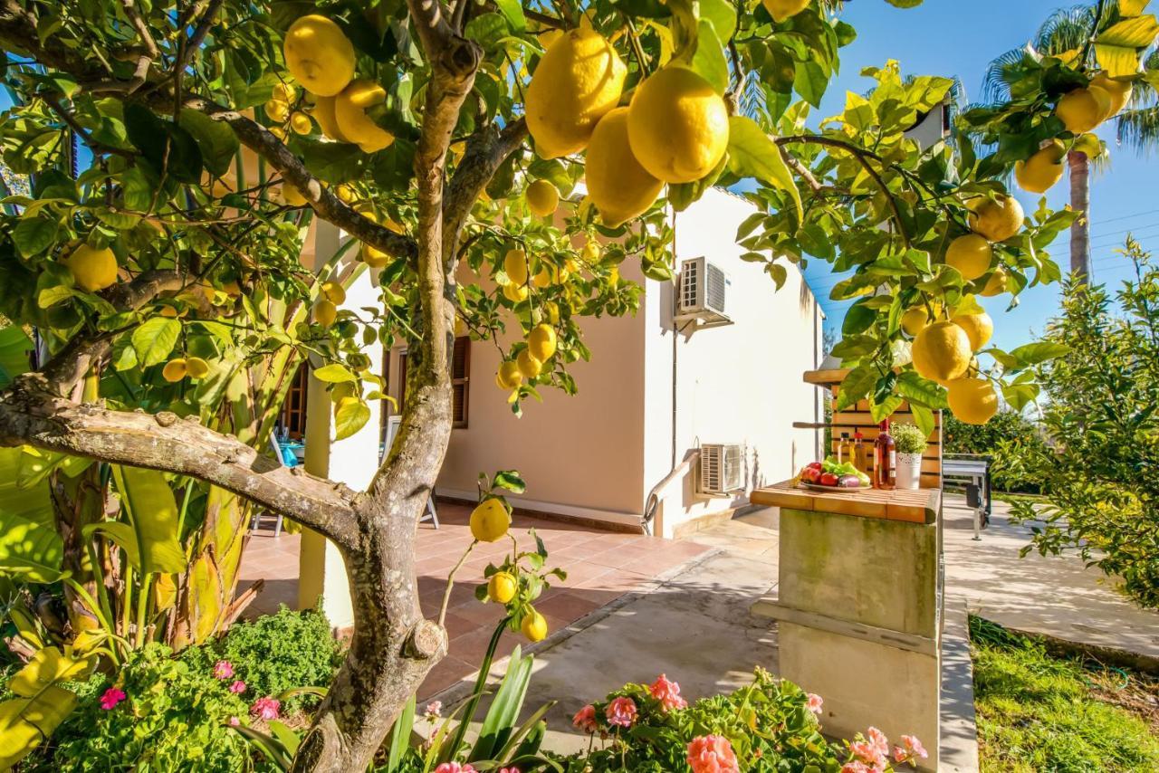 Landhaus Ideal Property Mallorca - Es Pascolet Inca (Mallorca)