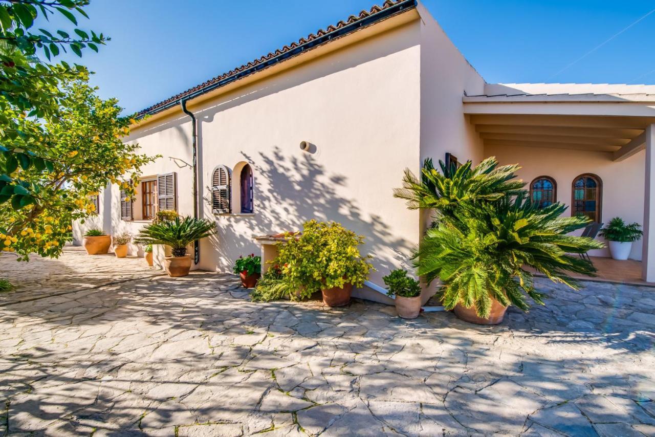 Ideal Property Mallorca - Es Pascolet