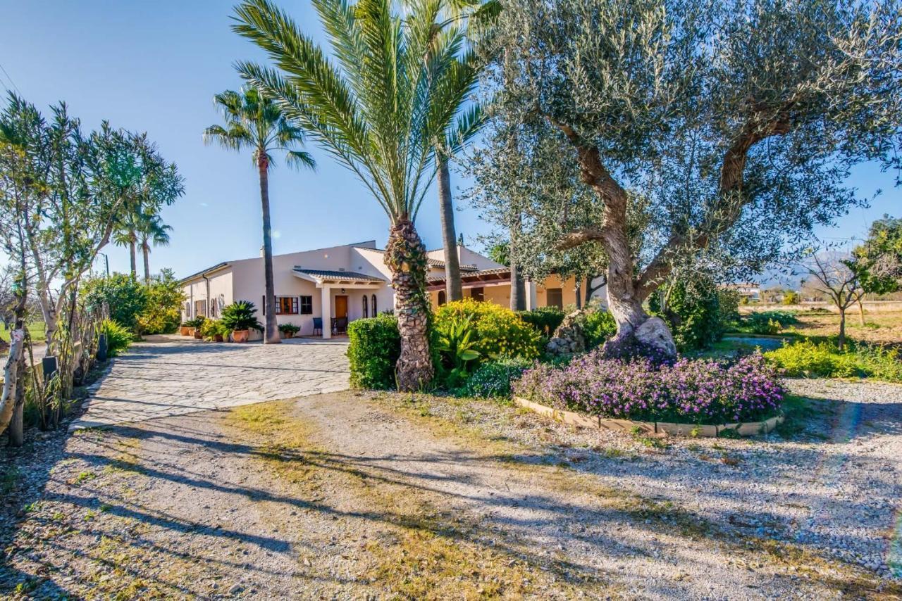 Ideal Property Mallorca - Es Pascolet *