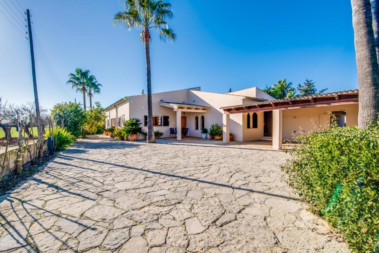 Ideal Property Mallorca - Es Pascolet Inca (Mallorca)